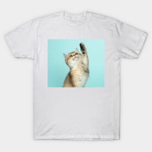 Pussycat T-Shirt